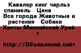 Кавалер кинг чарльз спаниель › Цена ­ 50 000 - Все города Животные и растения » Собаки   . Ханты-Мансийский,Урай г.